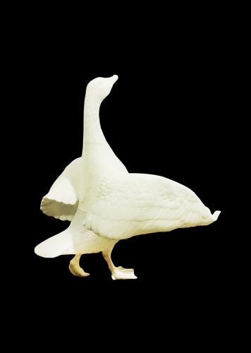 Resin UTR8220 for Cultural and Creative Model of Goose