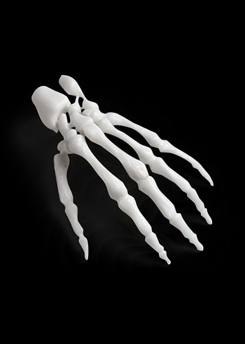 Resin Somos Ledo for Orthopedics Hand Skeleton Model